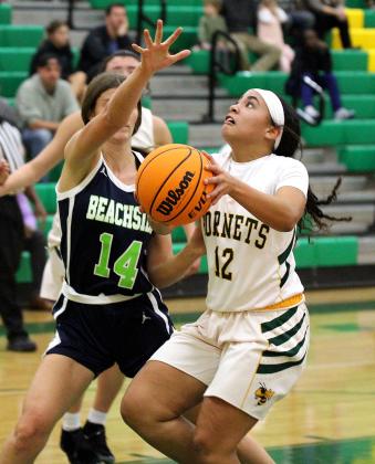 Season tip-off for Lady Hornets