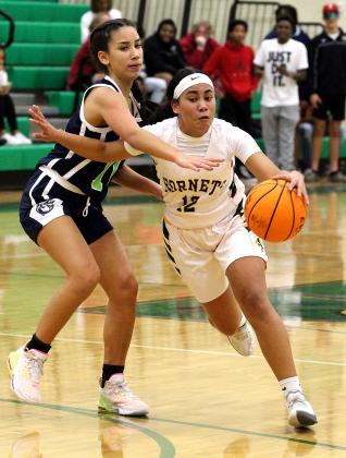 Season tip-off for Lady Hornets