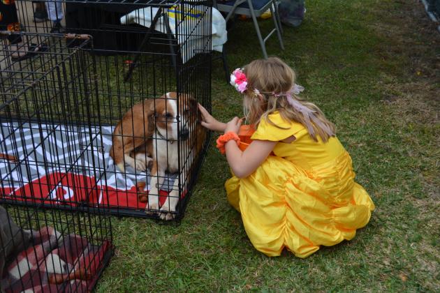 Photo by Marissa Mahoney/News-Leader
