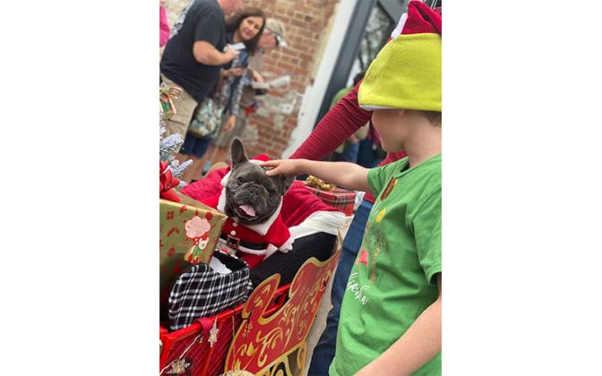 Parade of Paws. Photo by Tracy Dishman