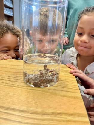 Kindergartners at Southside Elementary School had a blast learning about states of matter with Mrs. Weddingon's "dancing raisins" experiment.