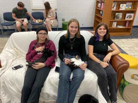 Nassau County Public Library hosted another Cat Café in conjunction with Nassau County Animal Services last weekend to coincide with Dickens on Centre.