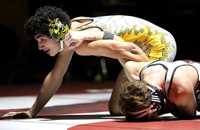 Hornets host Broncos in home opener, photo by Beth Jones/News-Leader