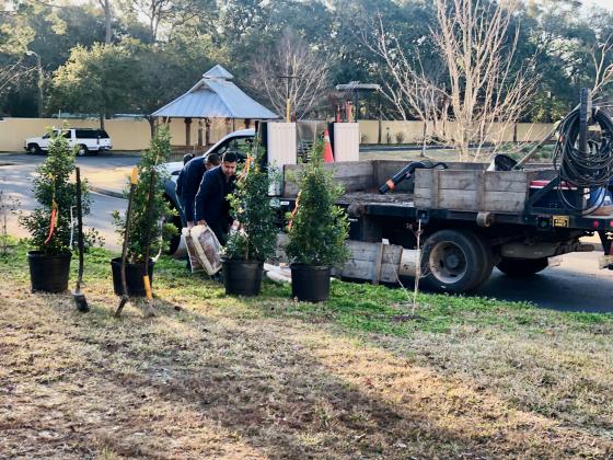 Liberty Landscaping plants trees at Cape Sound in Fernandina Beach after the homeowners association teamed up with Keep Nassau Beautiful to purchase the trees.