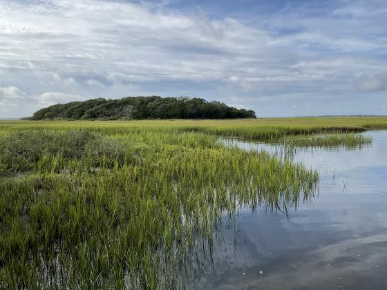 North Florida Land Trust has helped to protect Little Tiger Island in Nassau County