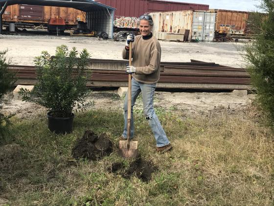 The city of Fernandina Beach has received its 21st year of national recognition as a Tree City USA community by the Arbor Day Foundation.