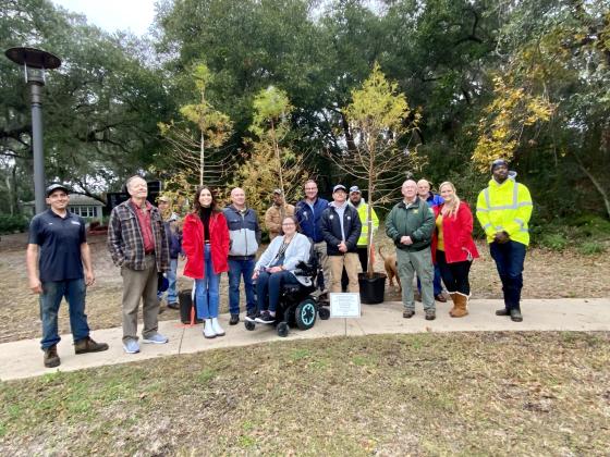 The city of Fernandina Beach has received its 21st year of national recognition as a Tree City USA community by the Arbor Day Foundation.