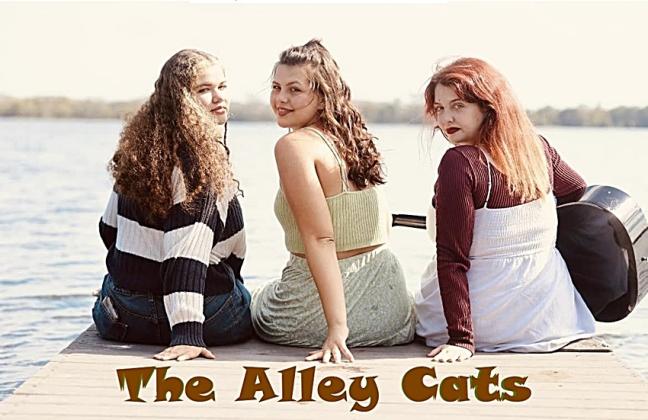 The Alley Cats are a young, local trio, just getting started in the Fernandina music scene. 