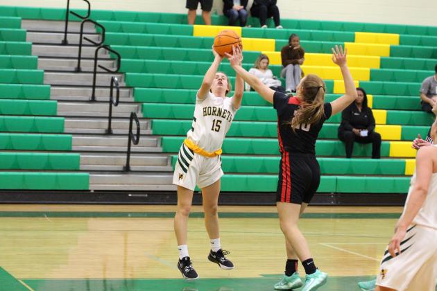 Lady Flashes beat host Lady Hornets. Photo by Beth Jones