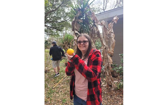 Homeowners and volunteers pick surplus and fallen fruit for Barnabas Citrus Drive.