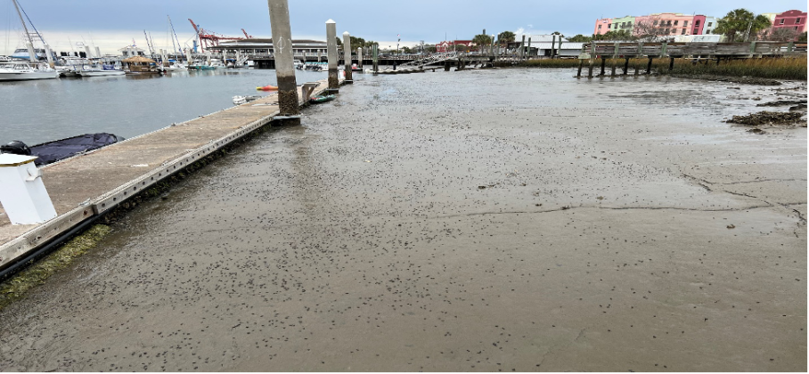 Expansive mud banks shown above and on the City’s waterfront cannot be filled over to create new land