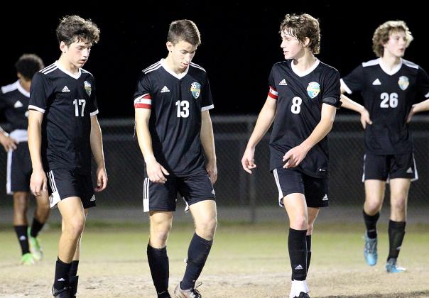 Hornets captured their first playoff victory. Photo by Beth Jones/News-Leader