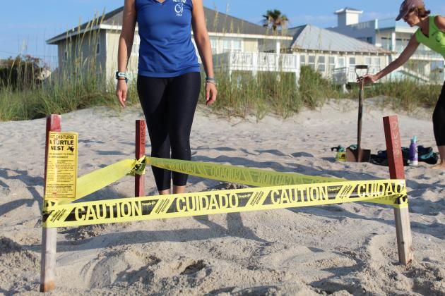 Amelia Island Sea Turtle Watch volunteers mark the nest of loggerhead sea turtle last summer. Photo by Holly Dorman