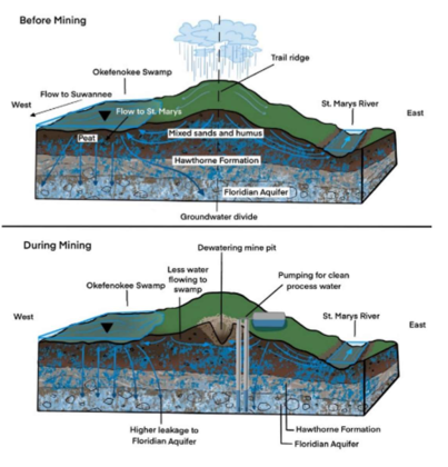 Photo courtesy of St. Marys Riverkeeper and Dr. Rhett Jackson “Groundwater pumping during the mining process can exacerbate water depletion and impact wetland ecosystems,” St. Marys Riverkeeper said. “The top image depicts how groundwater flow on Trail Ridge (flows) prior to mining. The bottom image depicts how pumping affects surface water levels and flowing streams.”