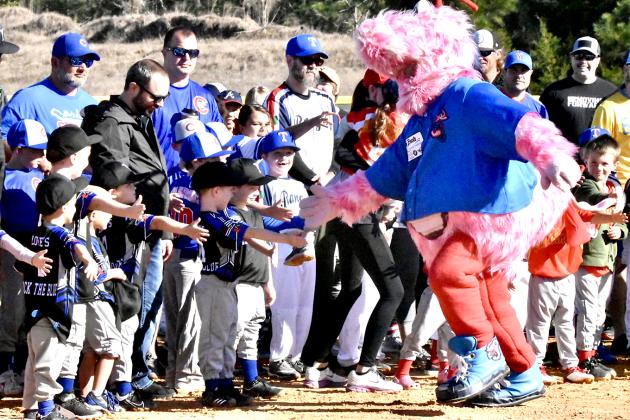 Yulee Little League held opening day ceremonies Saturday morning at the Yulee Sports Complex on Goodbread Road. Photos by Sean Rollo/special
