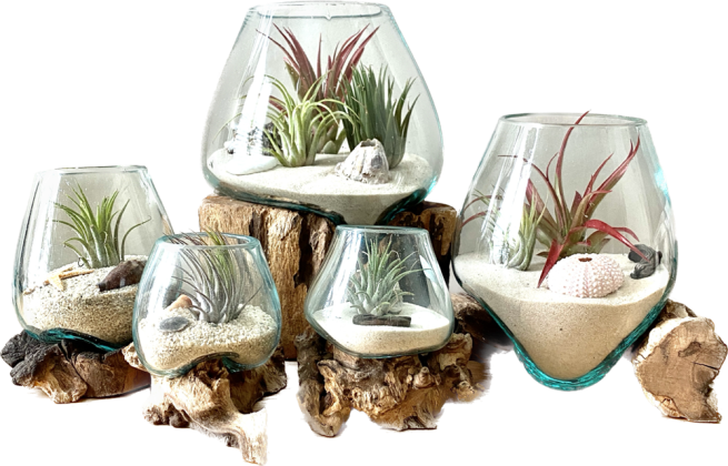 Sea Shore Terrariums will showcase their latest range of products, including molten glass terrariums. Submitted photo
