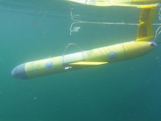 Photos courtesy of the University of Georgia Skidaway Institute of Oceanography