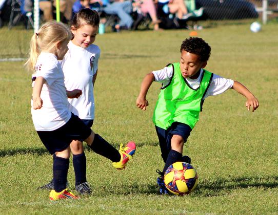 Youth soccer teams hit the fields Wednesday at the Amelia Island Youth Soccer complex on Bailey Road for spring league action. Photo by Beth Jones\News-Leader