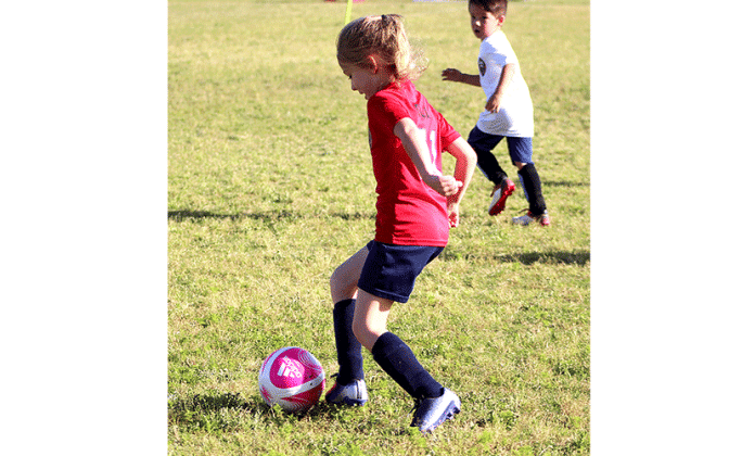 Youth soccer teams hit the fields Wednesday at the Amelia Island Youth Soccer complex on Bailey Road for spring league action. Photo by Beth Jones\News-Leader