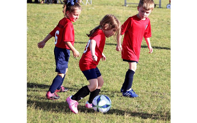 Youth soccer teams hit the fields Wednesday at the Amelia Island Youth Soccer complex on Bailey Road for spring league action. Photo by Beth Jones\News-Leader