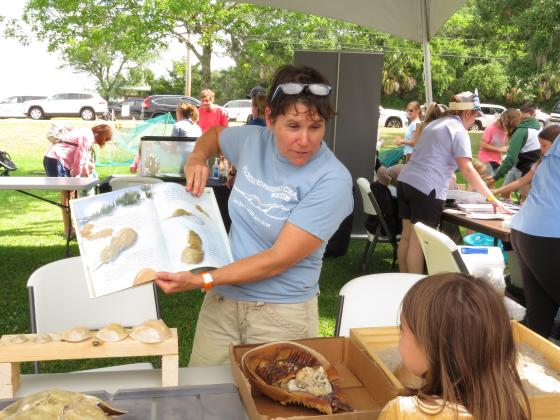 The Florida Horseshoe Crab Watch set up a booth at the Nature Festival for kids to stop by and learn something about these ancient animals. Photo by Holly Dorman/News-Leader