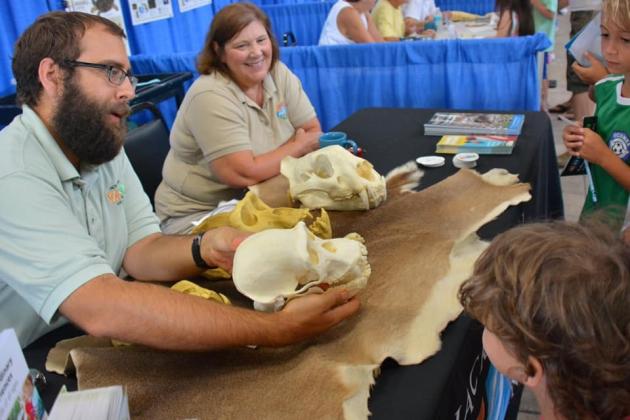 The Wild Amelia Nature Festival is back, kicking off this weekend with a sunset river cruise and leading into animal exhibits, activities for the kids, nature walks and more. Submitted photo