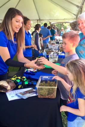 The Wild Amelia Nature Festival is back, kicking off this weekend with a sunset river cruise and leading into animal exhibits, activities for the kids, nature walks and more. Submitted photo