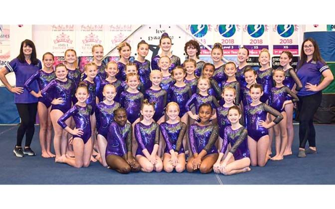 Gymnasts at state. Submitted photo
