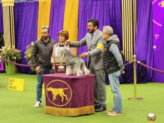 From left, Octavio Martinez, AKC Terrier Group Judge Kathleen J. Ferris, Handler Ernesto Lara and the elder Octavio Martinez. Submitted photo