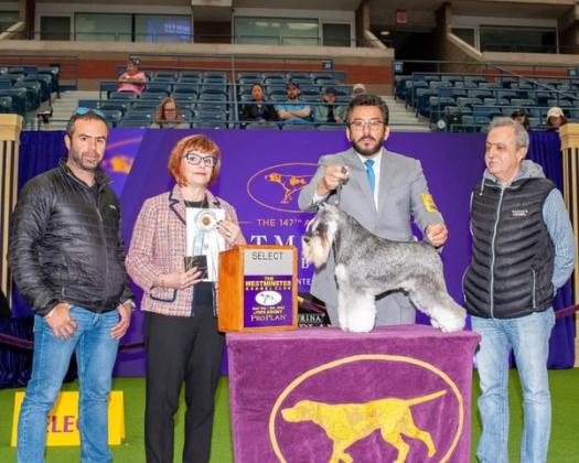 From left, Octavio Martinez, AKC Terrier Group Judge Kathleen J. Ferris, Handler Ernesto Lara and the elder Octavio Martinez. Submitted photo