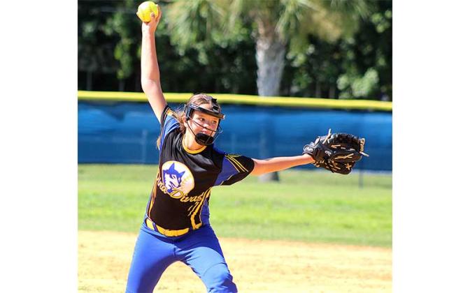 Elm Street little league holds softball camp. Photo by Beth Jones/News-Leader