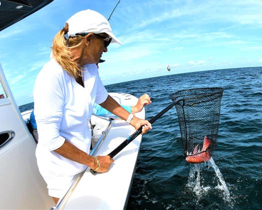 Large landing nets are a must when targeting a variety of offshore bottom species, including red snapper. Pam Cook showcases her landing skills. Photo by Terry Lacoss