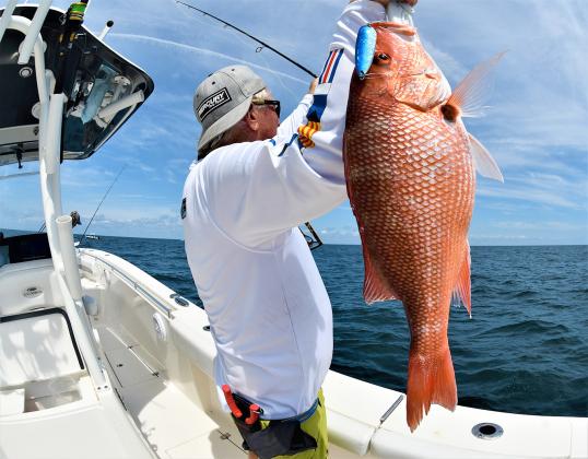 Rock ledge snapper. Photo by Terry Lacoss