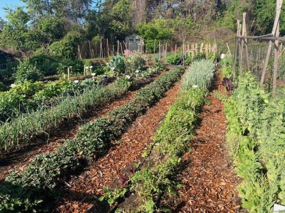 Dan Groth’s garden known as the “Little Farm.” Submitted photo