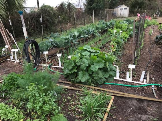 Spring time in the garden. Submitted photo