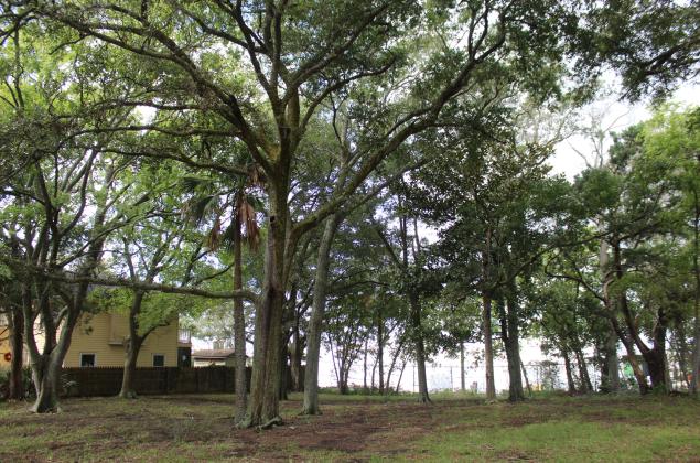 The Ocean Highway and Port Authority hired real estate agent to begin the process of selling this lot adjacent to the Port of Fernandina, along with other parcels in the Fernandina Beach Historic District. Nearby property owners want OHPA to ensure development on the property keeps the character of the neighborhood through deed restrictions placed on the lots. Photo by Julia Roberts/News-Leader