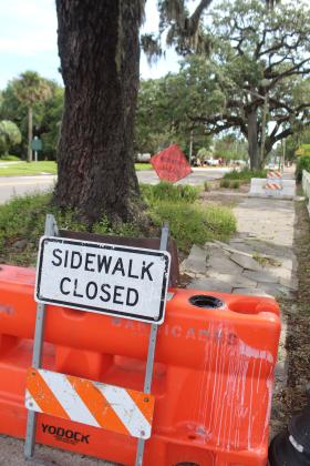 A tree at the corner of Eighth Street and Atlantic Avenue has roots that are growing up under the sidewalk, causing a hazard to pedestrians. Photo by Julia Roberts/News-Leader