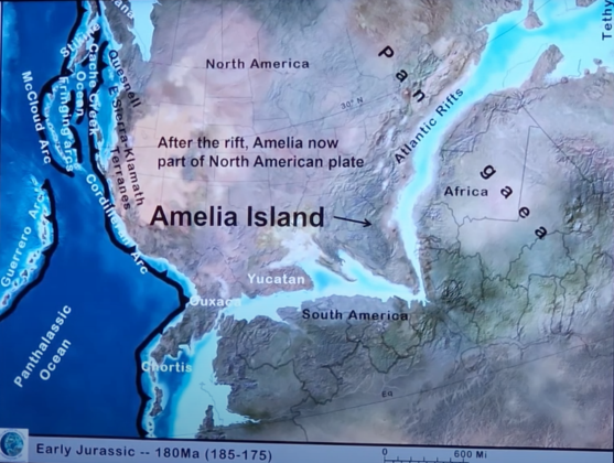 Amelia Island stuck to North America after Pangea split 180 million years ago. Submitted photo