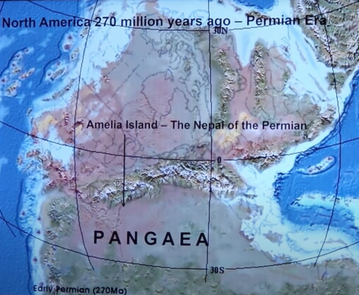 Amelia Island was in the middle of a Pangean mountain range 270 million years ago. Submitted photo
