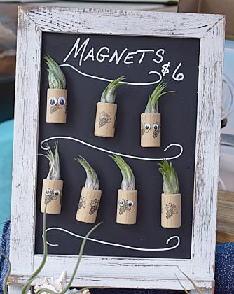 Jen Booth McPhee of Regina Maris Studio, books by author of the Java series, Steve Gibbs, and cute refrigerator magnets that house air plants made by farmers market vendor Sea Shore Terrariums. Photo by Judie Mackie