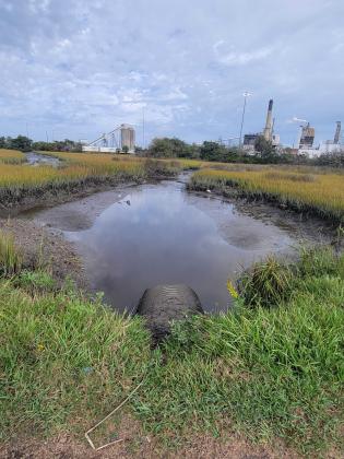 The culverts under Escambia Street that connect Escambia Slough to Alligator Creek are not large enough to handle the flow of water. The city of Fernandina Beach is considering abandoning the street and allowing the area to go back to its natural state. Photo by Julia Roberts/News-Leader