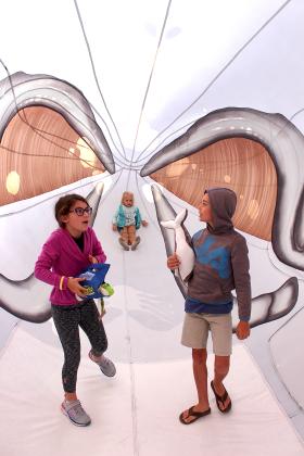 Photo by Beth Jones/News-Leader