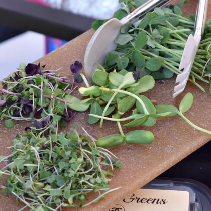 Chuck Hall The Banjo Man, Microgreens, and salsa samples. Photo by Judie Mackie