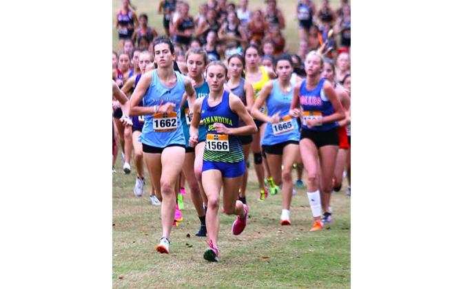 Lady Pirates top public schools at state. Photo by Stephanie Nichols/Special