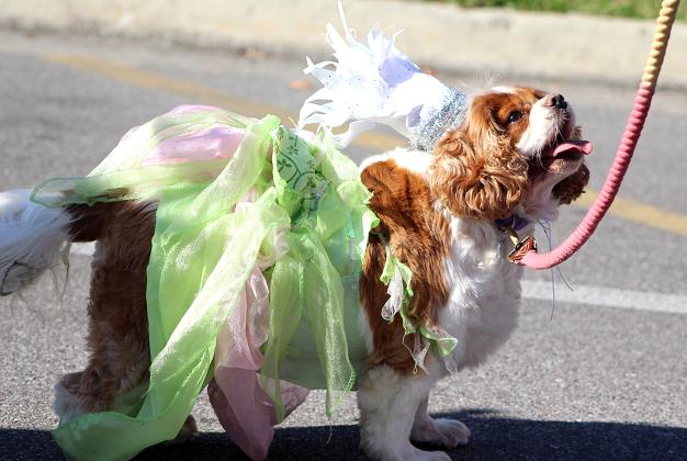 Photo by Beth Jones/News-Leader