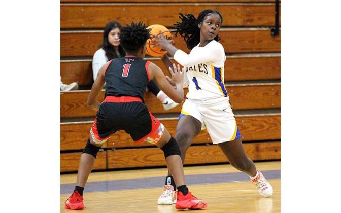 The Fernandina Beach High School girls basketball team hosted the Terry Parker Lady Braves Tuesday night. Photo by Beth Jones/News-Leader