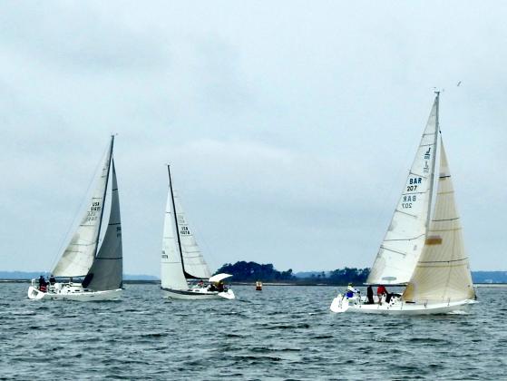 Tiger Tale, Misty and Valkyrie in the second race on Feb. 17. The next race is March 16. Submitted photo