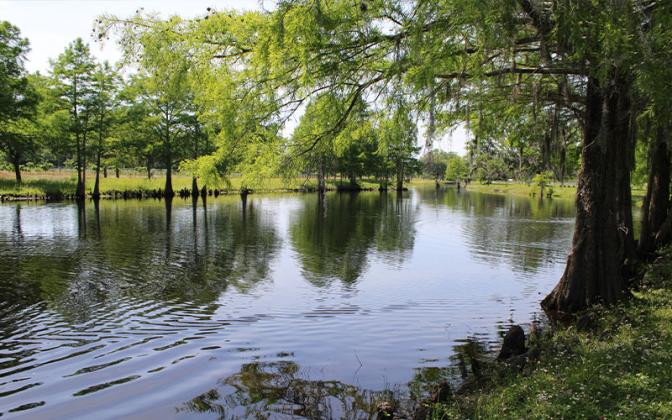 The scenic Little Trout River, lined with cypress trees, runs through the farm and is a restful place to observe wildlife.  Pam Bushnell/News-Leader