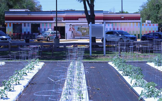 Townies Pizza garden is located on a lot next to the restaurant. Photo by Ashley Chandler/News-Leader