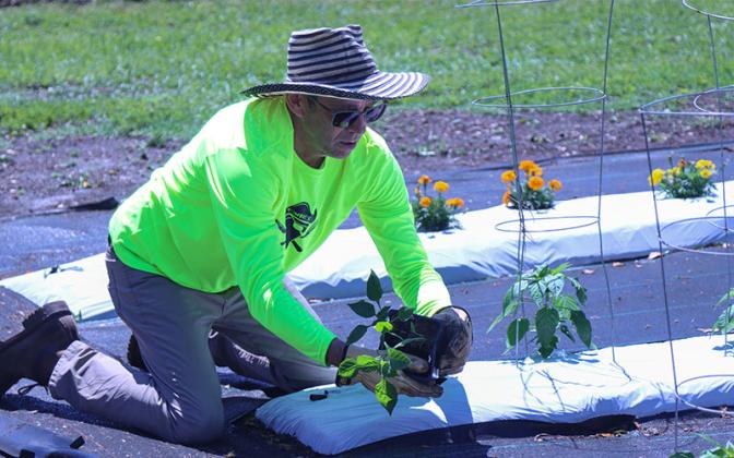 Matt and Angie Klabacka work in the garden next their restaurant on T.J. Courson Road. Photo by Ashley Chandler/News-Leader